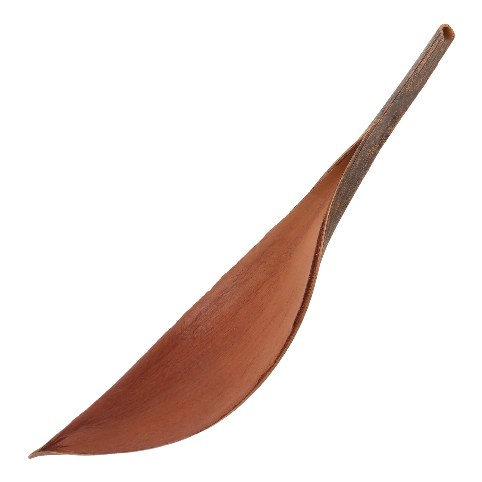 Lifelike Wooden Leaf Crafts De - đánh giá và giá Art Craft Bar