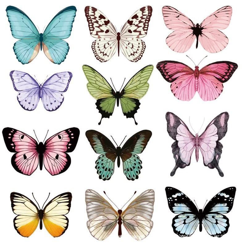 12pcs 3D Butterfly Wall Sticke - đánh giá và giá Art Craft Event